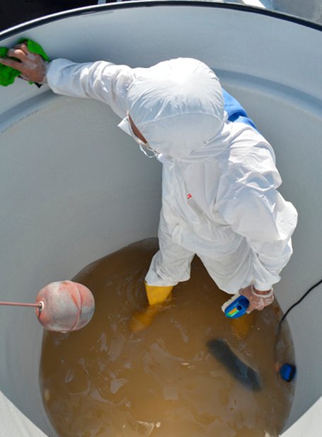 lavado de tanques en