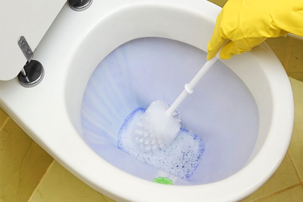 destapar la taza del baño