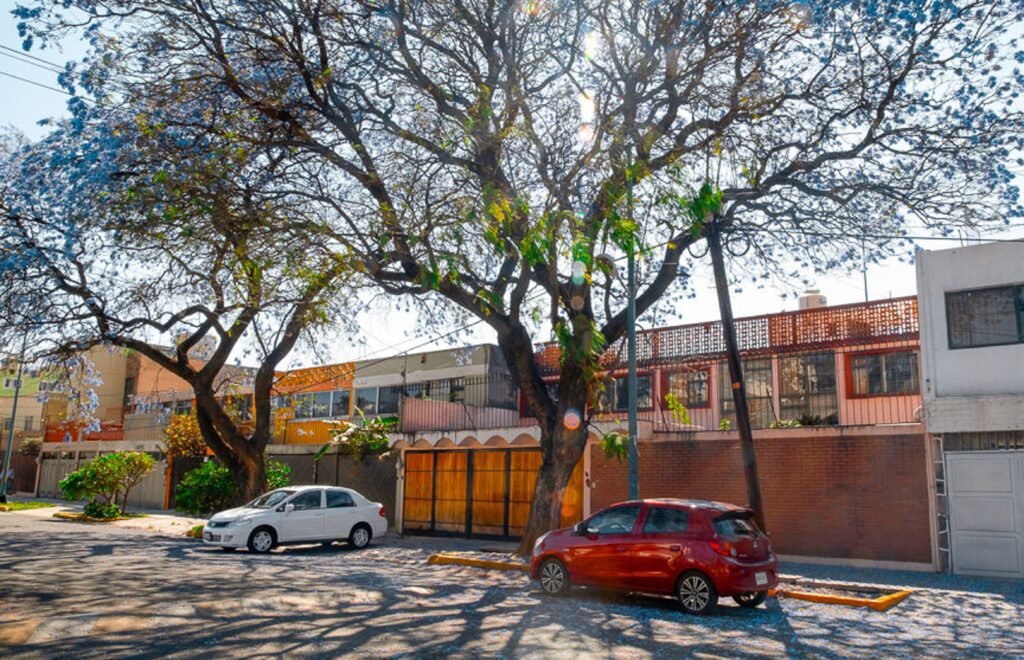 plomeros en santa ursula